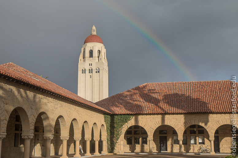 the quad